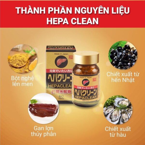 HEPACLEAN – Cho lá gan khỏe mạnh - Ảnh 5